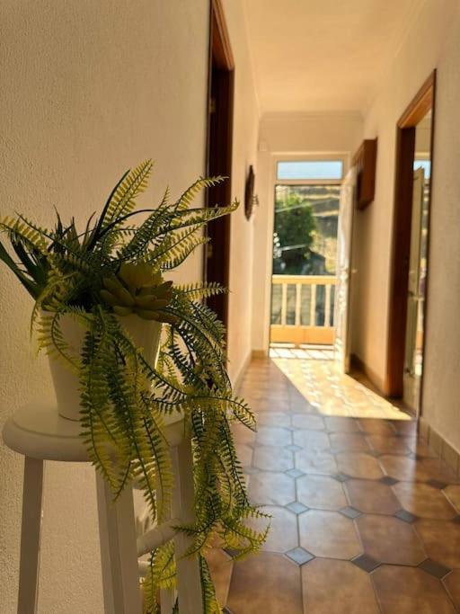Casa De Sergude Peso da Régua Exteriér fotografie